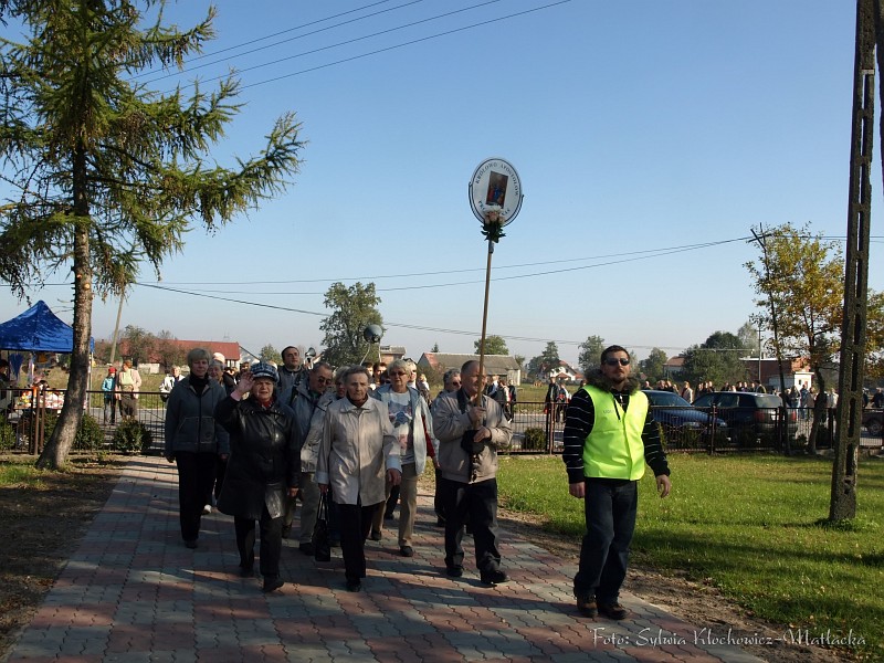 S_PA094185.jpg