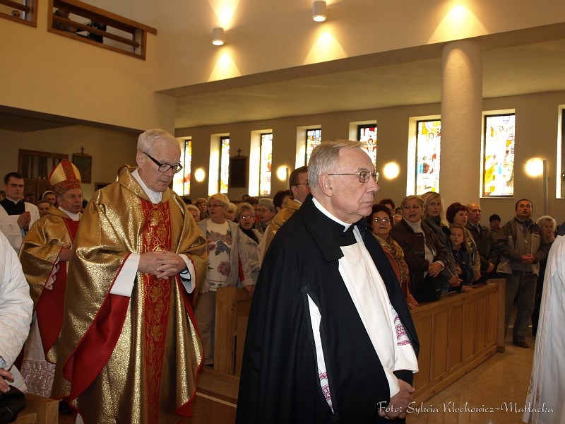 S_PA094229.jpg