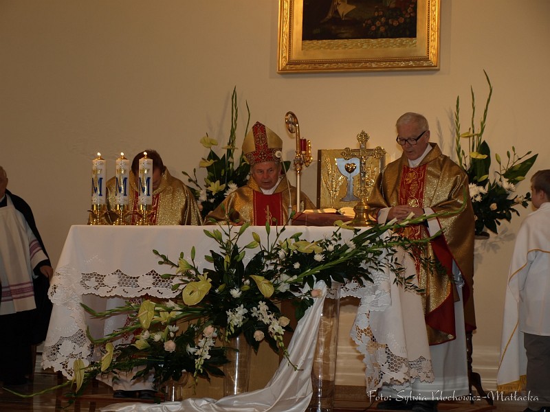 S_PA094233.jpg