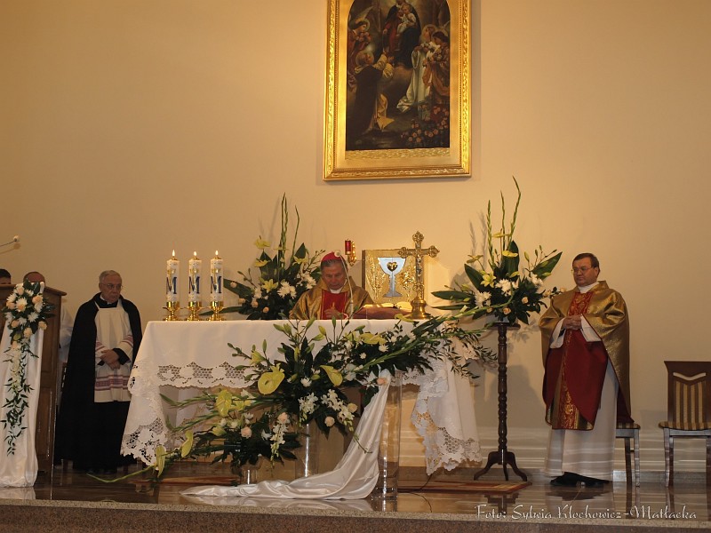 S_PA094239.jpg