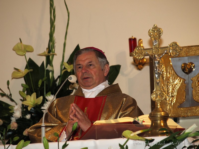 S_PA094255.jpg