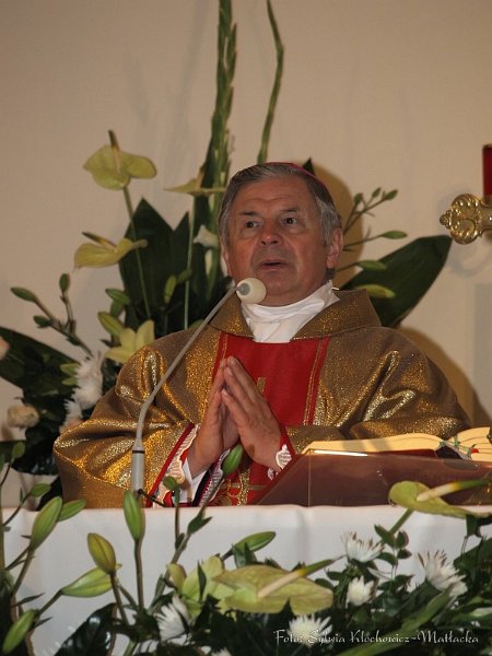 S_PA094260.jpg