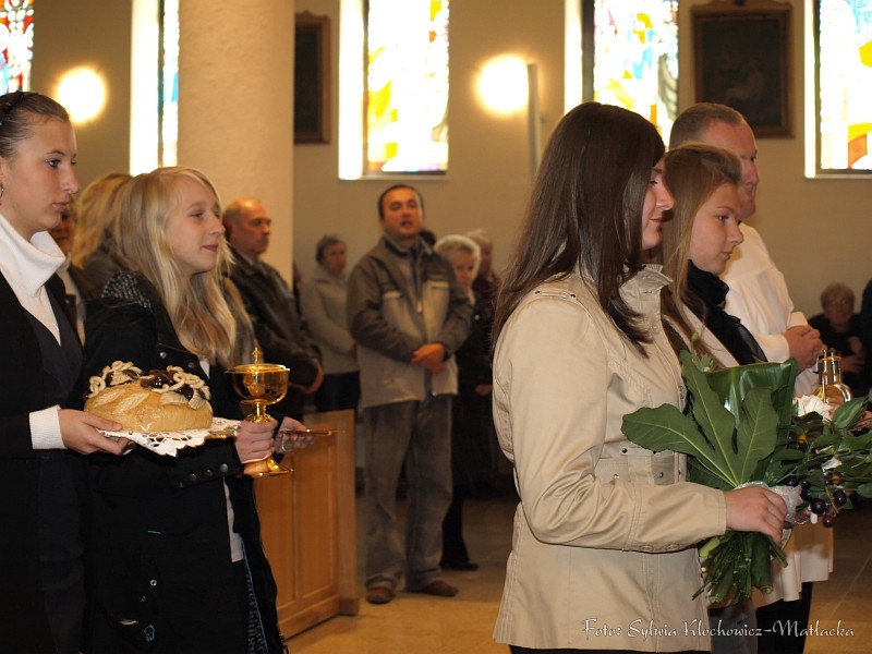 S_PA094289.jpg