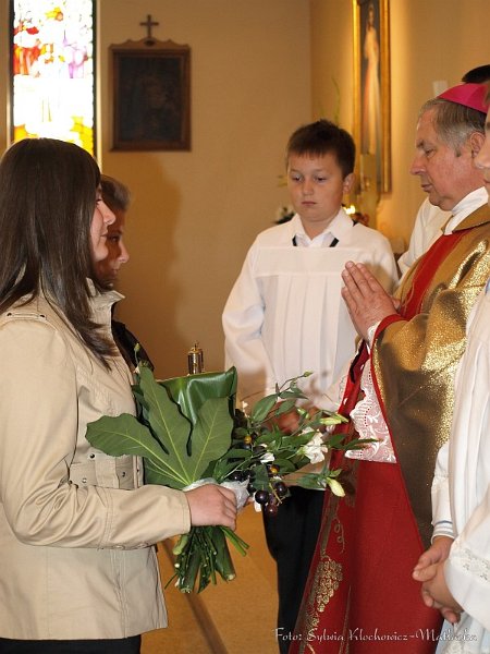 S_PA094290.jpg