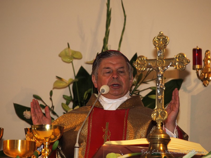 S_PA094309.jpg