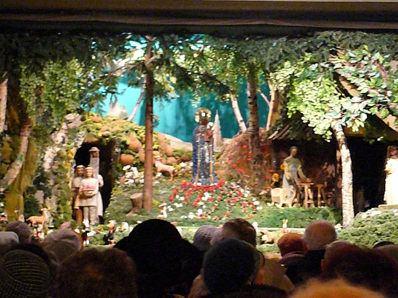 P1000233.JPG