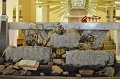 S__DSC0689