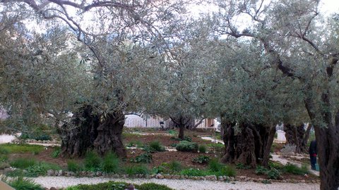 DSC_1088.jpg