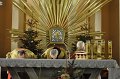 BN_2014_0176