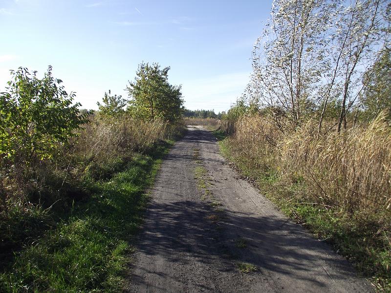 DSCF5701.JPG