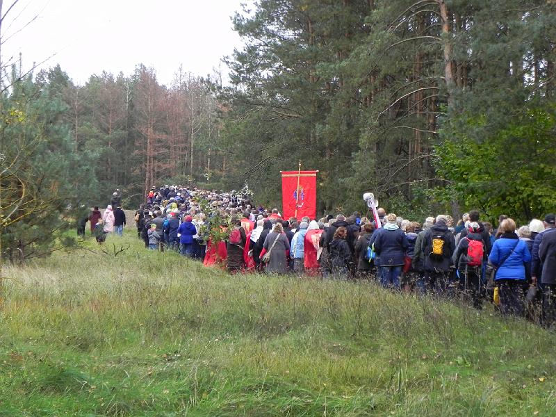 DSCN1239.JPG