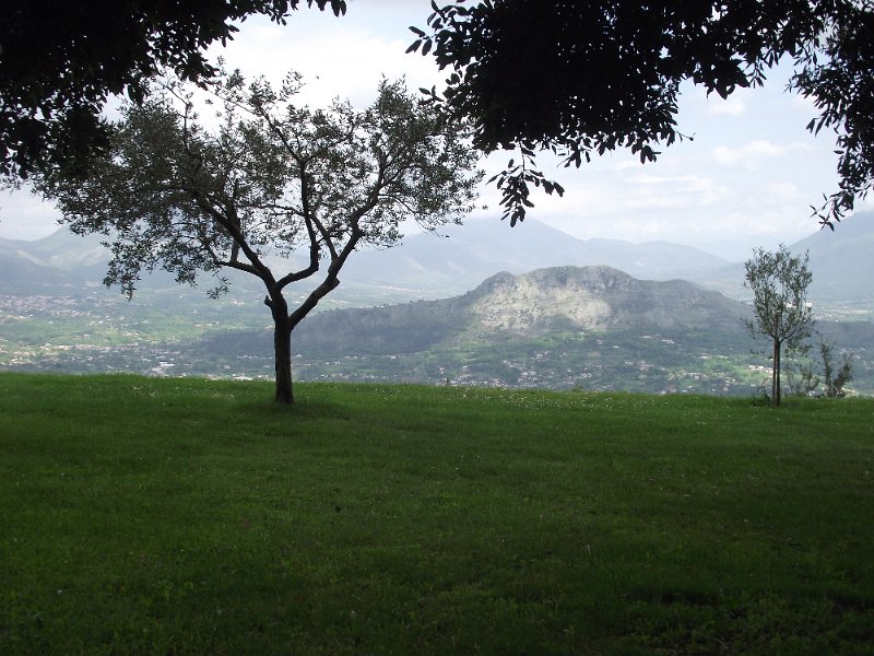 DSCF6916.JPG