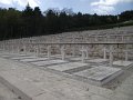 DSCF6876