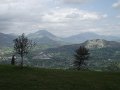 DSCF6917