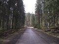 DSCF7231